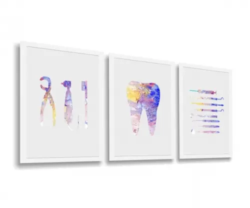 Kit 3 Quadros Decorativos Odontologia Consultório Moldura