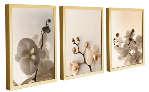 Kit 3 Quadros Decorativos Orquidea Flores Para Sala Molduras