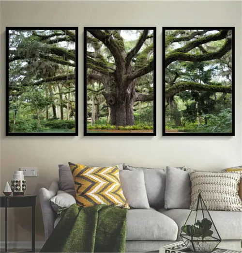 Kit 3 Quadros Decorativos Paisagem Arvore Folhagem Moldura