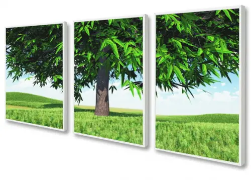 Kit 3 Quadros Decorativos Paisagem Arvore Verde Com Moldura