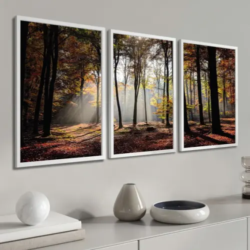 Kit 3 Quadros Decorativos Paisagem Floresta Arvore Moldura