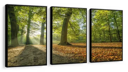 Kit 3 Quadros Decorativos Paisagem Floresta Verde Moldura