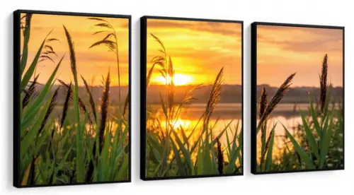 Kit 3 Quadros Decorativos Paisagem Pôr Do Sol Flores Moldura