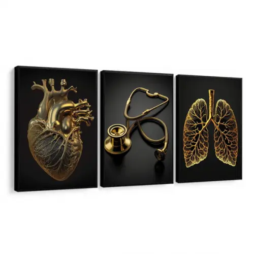 Kit 3 Quadros Decorativos para Consultório Medicina Moldura