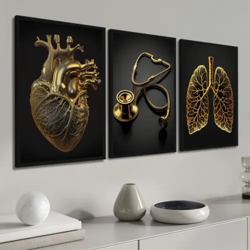 Kit 3 Quadros Decorativos para Consultório Medicina Moldura