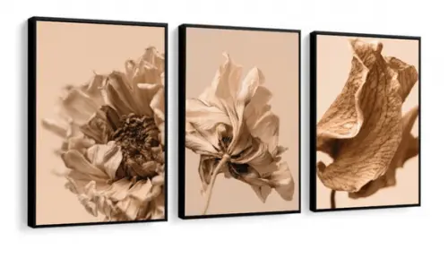 Kit 3 Quadros Decorativos Para Sala Folhagem Bege Moldura