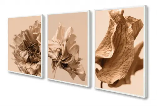 Kit 3 Quadros Decorativos Para Sala Folhagem Bege Moldura