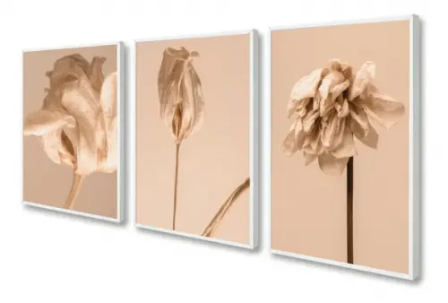 Kit 3 Quadros Decorativos Para Sala Folhagem Moderno Moldura