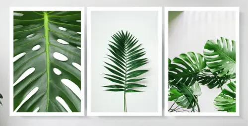 Kit 3 Quadros Decorativos Para Sala Folhagem Verde Moldura
