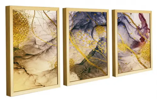 Kit 3 Quadros Decorativos Para Sala Modernos Gold Molduras