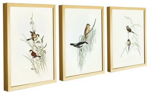 Kit 3 Quadros Decorativos Para Sala Passarinhos Com Moldura