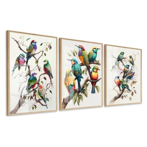 Kit 3 Quadros Decorativos Pássaros Coloridos Moldura e Vidro