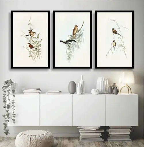 Kit 3 Quadros Decorativos Passarinhos Animais Com Moldura