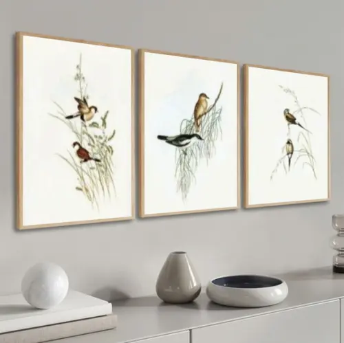 Kit 3 Quadros Decorativos Pássaros Modernos Sala Com Moldura