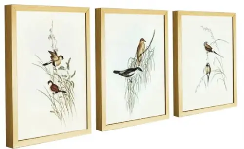 Kit 3 Quadros Decorativos Pássaros Para Sala De Estar Hall
