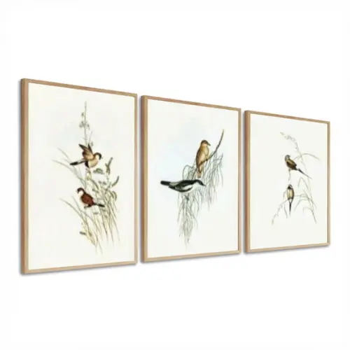 Kit 3 Quadros Decorativos Pássaros Modernos Sala Com Moldura