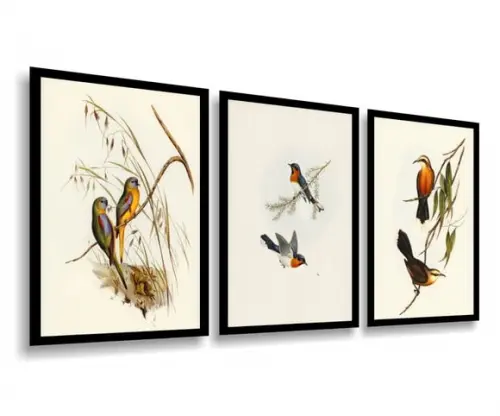 Kit 3 Quadros Decorativos Pássaros para Sala Quarto Moldura