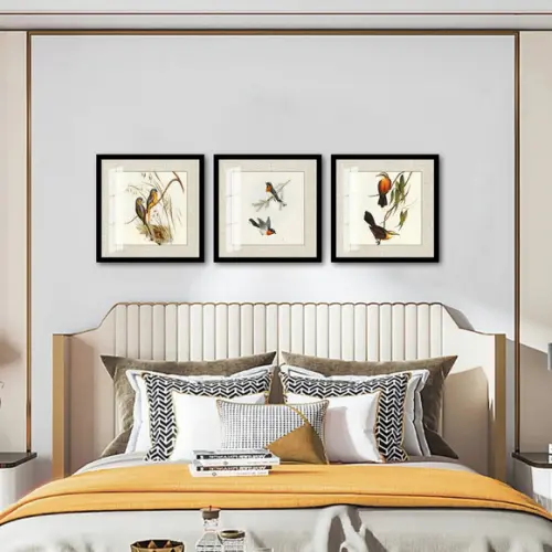 Kit 3 Quadros Decorativos Pássaros Paspatur Vidro e Moldura