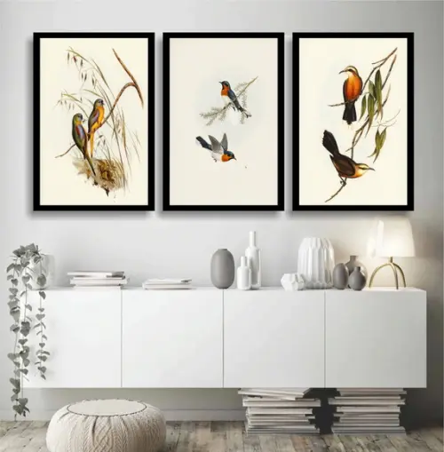 Kit 3 Quadros Decorativos Pássaros para Sala Quarto Moldura