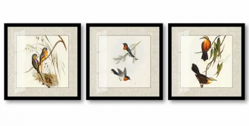 Kit 3 Quadros Decorativos Pássaros Paspatur Vidro e Moldura