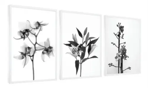Kit 3 Quadros Decorativos Preto e Branco Flores Com Moldura