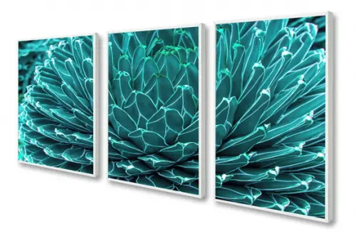 Kit 3 Quadros Decorativos Suculenta Azul Flores Com Moldura