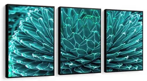 Kit 3 Quadros Decorativos Suculenta Azul Para Sala Moldura