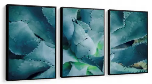 Kit 3 Quadros Decorativos Suculentas Para Sala Com Moldura