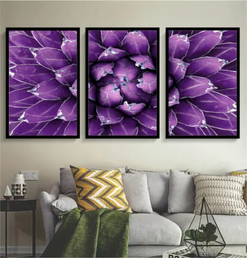 Kit 3 Quadros Decorativos Suculentas Para Sala Hall Moldura