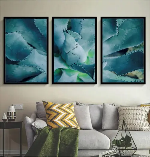 Kit 3 Quadros Decorativos Suculentas Para Sala Com Moldura