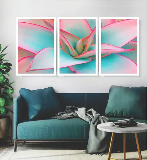 Kit 3 Quadros Flor Suculenta Decoração Folhagem Com Moldura