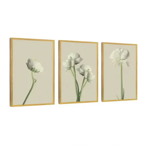 Kit 3 Quadros Flores Brancas Decoração Botânico Com Moldura