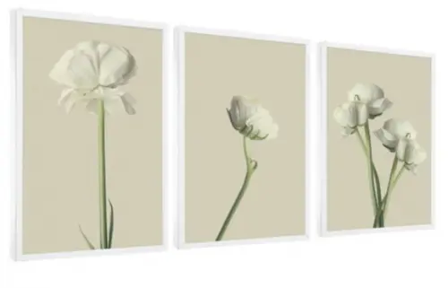 Kit 3 Quadros Flores Brancas Decoração Conjunto Com Moldura