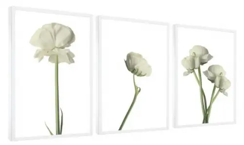 Kit 3 Quadros Flores Brancas Decoração Conjunto Com Moldura