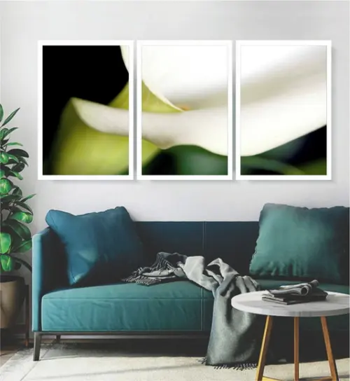Kit 3 Quadros Flores Copo De Leite Decoração Jardim Moldura