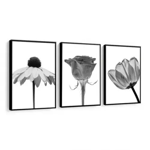 Kit 3 Quadros Flores Preto e Branco Decoração Com Molduras