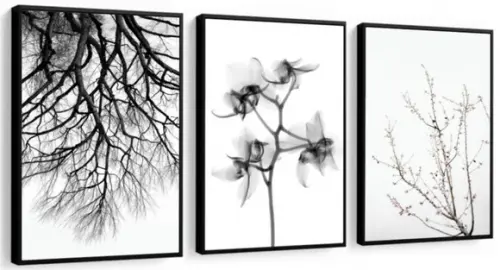 Kit 3 Quadros Flores Preto e Branco Decoração Galhos Moldura