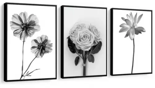 Kit 3 Quadros Flores Preto e Branco Rosas Decoração Molduras