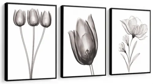 Kit 3 Quadros Flores Preto e Branco Tulipa Decoração Moldura