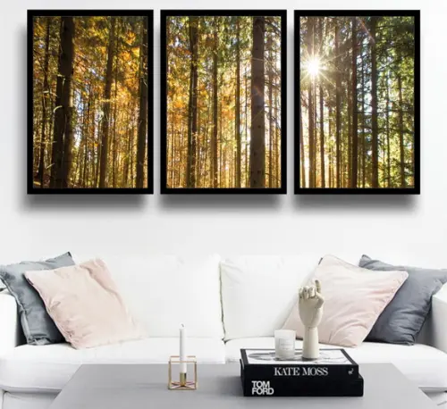 Kit 3 Quadros Florestas Paisagem Decoração Conjunto Moldura