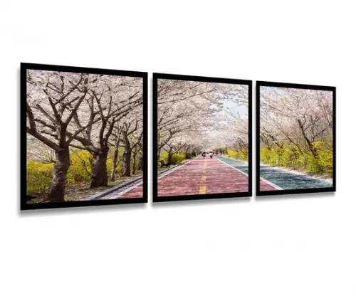 Kit 3 Quadros Florestas Estrada Decoração Paisagem Molduras