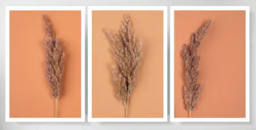 Kit 3 Quadros Folhagem Botânico Conjunto Decoração Moldura