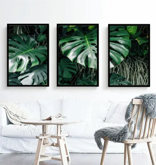 Kit 3 Quadros Folhagem Monstera Decoração Botânico Molduras
