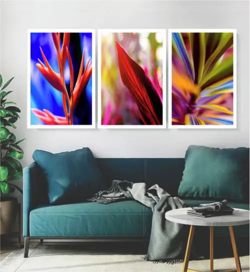 Kit 3 Quadros Folhagem Tropical Colorida Decoração Molduras