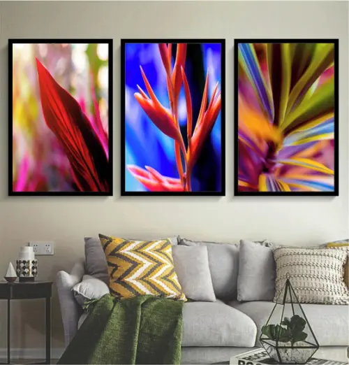 Kit 3 Quadros Folhagem Tropical Colorido Decoração Molduras