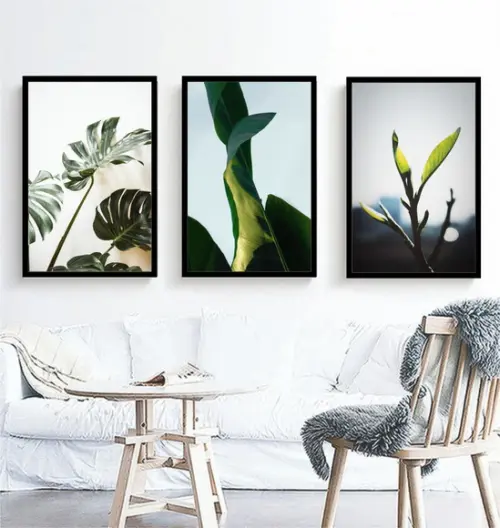 Kit 3 Quadros Folhagem Verde Costela Adão Decoração Molduras