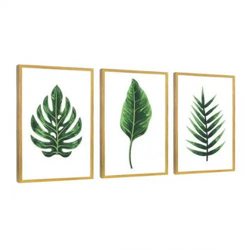 Kit 3 Quadros Folhagem Verde Costela Decoração Com Molduras