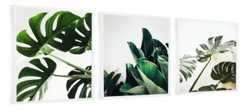 Kit 3 Quadros Folhagem Verde Decoração Conjunto Com Moldura
