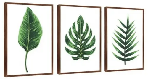 Kit 3 Quadros Folhagem Verde Decoração Monstera Com Molduras