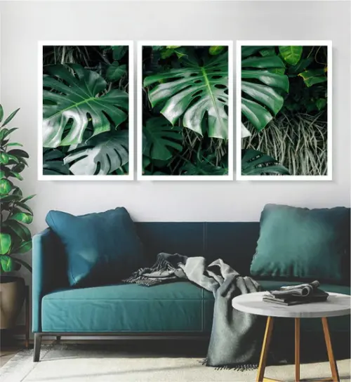 Kit 3 Quadros Folhagens Monstera Decoração Botânico Molduras